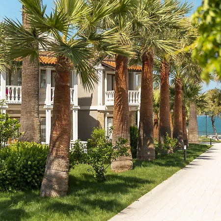 Lucas Didim
