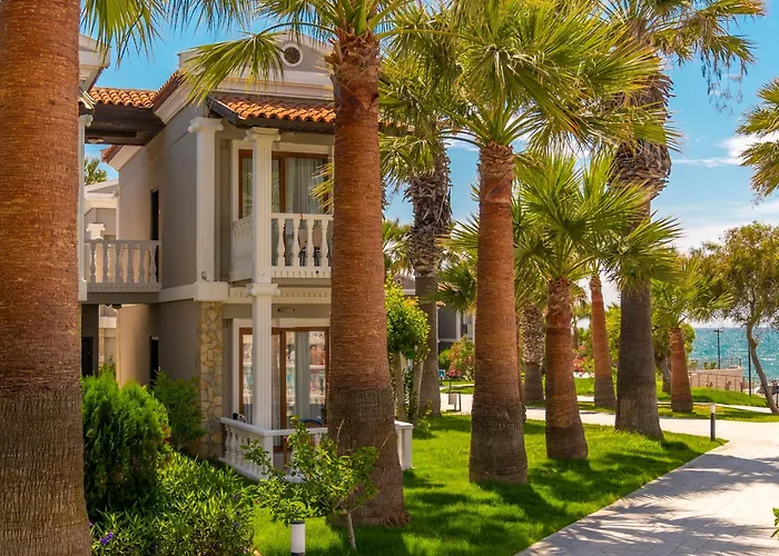 Lucas Didim Yenihisar