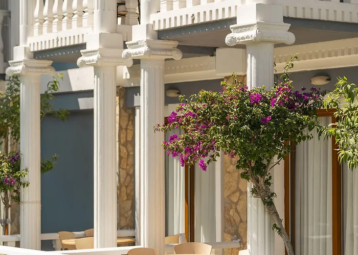 Lucas Didim Yenihisar